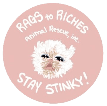 Rags to Riches Animal Rescue - Non-profit animal rescue organization website featuring pet adoption listings, donation integration, volunteer applications, and community engagement tools for Tampa, Florida.