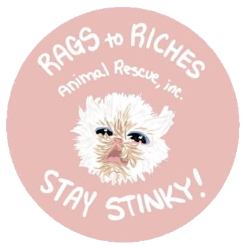 Rags to Riches Animal Rescue - Non-profit animal rescue organization website featuring pet adoption listings, donation integration, volunteer applications, and community engagement tools for Tampa, Florida.